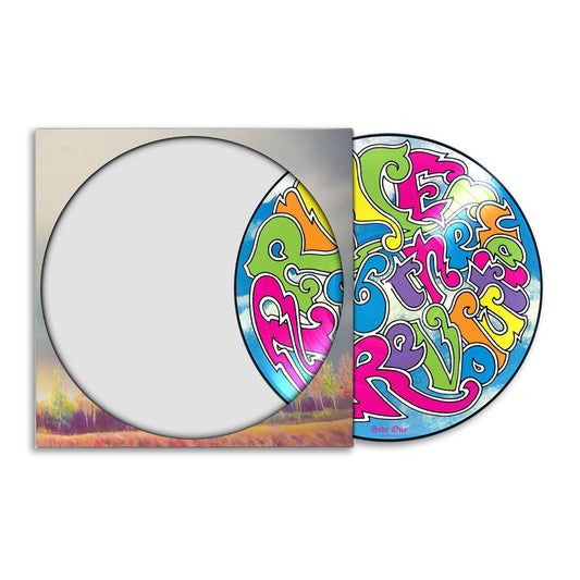 Around The World In A Day (1 LP Picture Disc)
