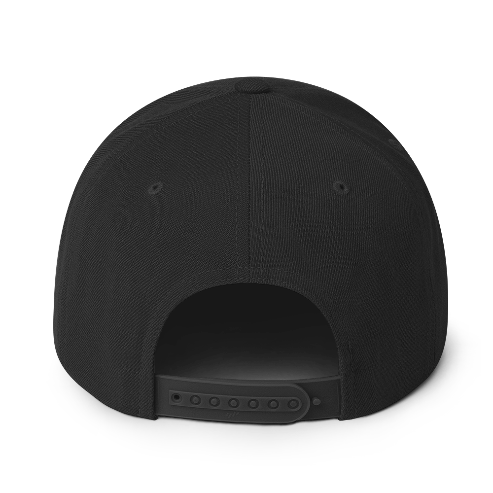 3121 Snapback Hat