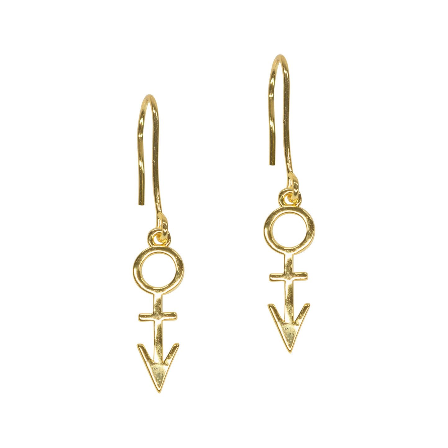 Symbol Drop Earrings [Gold]
